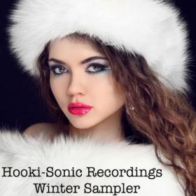 Various Artists - Hooki-Sonic Recordings Winter Sampler  (2014) MP3, 320 kbps