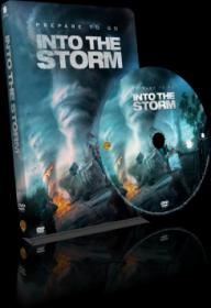 Into-The-Storm-(Quale-2014)-NFORELEASE-[DVD9-Copia-1-1]