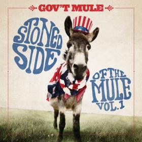 Gov't Mule - Stoned Side of the Mule Vol  1 [2014] 320