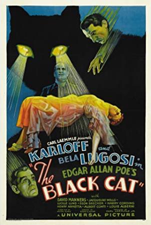 [hey visit  ]The Black Cat (1934)