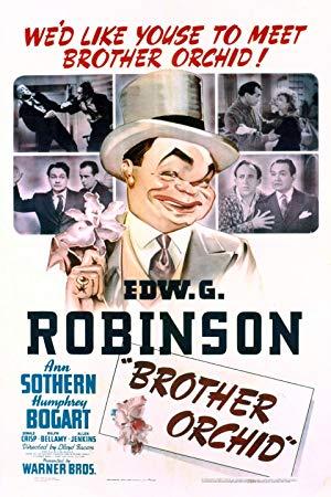 Brother Orchid 1940 WEBRip XviD MP3-XVID