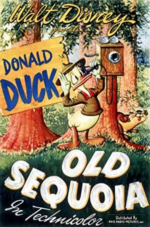 Old Sequoia (1945) Walt Disney