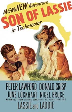 Son Of Lassie 1945 540p DVDRip AAC 2Ch Startler