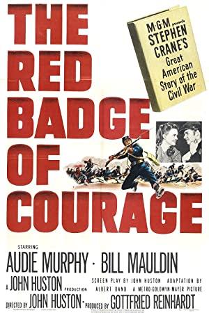 The Red Badge of Courage (1951) x264 Eng,Fre,Spa Aw