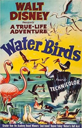 Water Birds (1952) [1080p] [WEBRip] [YTS]