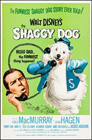 【首发于高清影视之家 】奇犬良缘[国英多音轨+简繁英字幕] The Shaggy Dog 1959 1080p DSNP WEB-DL H264 AAC-TAGWEB