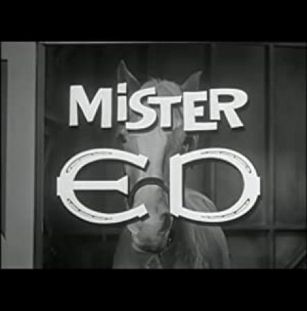 Mister Ed (Complete TV series in MP4 format)