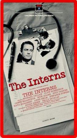 The Interns (2010) [DVDRip]