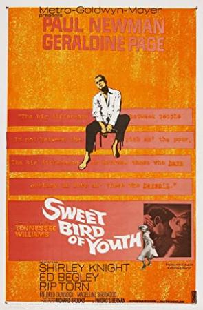 Sweet Bird Of Youth 1962 1080p BluRay x265-RARBG