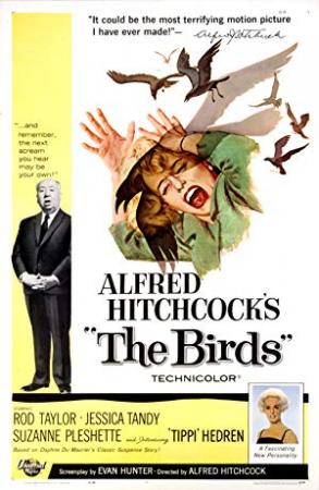 The Birds (1963) 720p BrRip AAC x264 [Dual Audio] [Hindi DD 2 0-English] -LokiST [SilverRG]