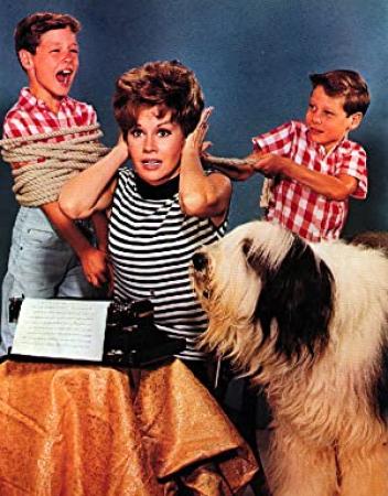 Please Don't Eat the Daisies 1965 Complete Seasons 1 and 2 TVRip x264 [i_c]