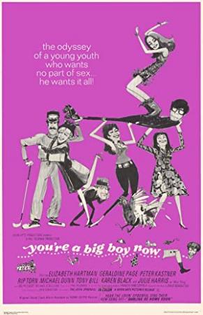 Youre a Big Boy Now 1966 WEBRip XviD MP3-XVID