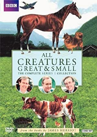 All Creatures Great And Small 2020 S01E00 The Night Before Christmas 720p HDTV x264-KETTLE[eztv]