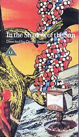 In the Shadow of the Sun 1981 BDRip x264-GHOULS