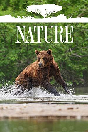 Nature S42E04 Spy in the Ocean Deep Relationships 720p AMZN WEB-DL DDP5.1 H.264-NTb[TGx]