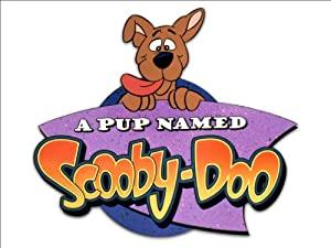 A Pup Named Scooby-Doo (1988) S01 (1080p Dvdrip Upscale x265 10bit AC3 mixed - Frys) [TAoE]