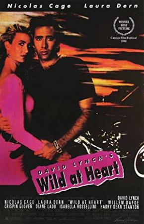 Wild at Heart 1990 1080p BluRay x264 anoXmous