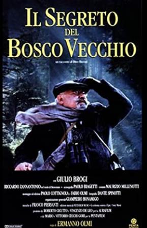 Il Segreto Del Bosco Vecchio (1993) [1080p] [WEBRip] [YTS]