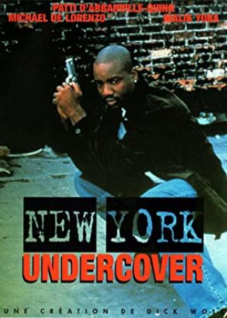 New York Undercover 1994 Complete Seasons 1 to 4 WEBRip x264 [i_c]