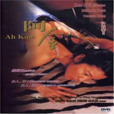 The Stunt Woman 1996 CHINESE BRRip XviD MP3-VXT