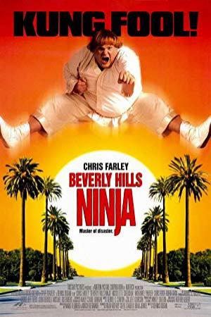 Beverly Hills Ninja 1997 HDTVRip x264 AAC Latino URBiN4HD