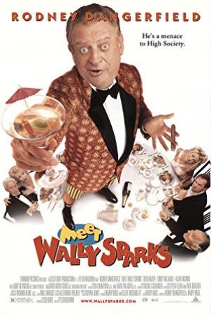 Meet Wally Sparks 1997 1080p AMZN WEBRip DD 5.1 x264-SiGMA