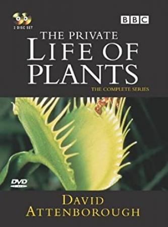 The Private Life of Plants (1995) Season 1 S01 + Extras (576p DVD x265 HEVC 10bit AC3 2.0 afm72)