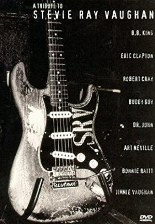 A Tribute to Stevie Ray Vaughan (1996)