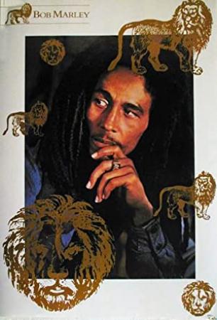 Bob Marley Live in Concert 1980 BDRip x264 AC3-playSD