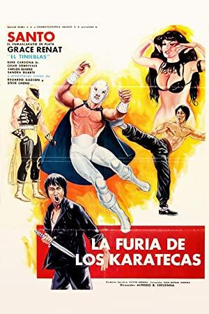 The Fury of the Karate Experts 1982 DUBBED 1080p WEBRip x264-RARBG