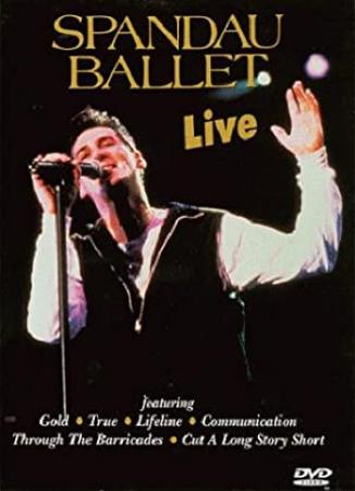 Spandau Ballet Live  2009 DVDRip x264 DD 5.1 - Request