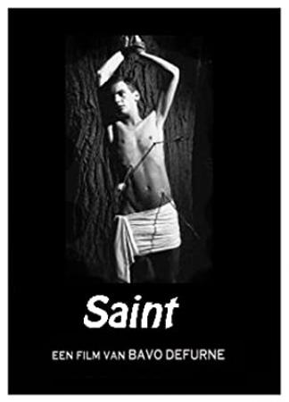 Saint [DVDRIP][Spanish AC3 5.1][2011]