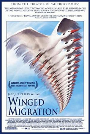 Winged Migration 2001 1080p BluRay x265-RARBG