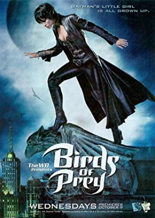 Birds of Prey (2020) 1080p WEB-DL x264 Dual Audio [Hindi DD2.0 + English DD 5.1] ESubs
