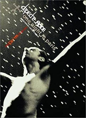 Depeche Mode One Night In Paris 2001 XviD DVDRip
