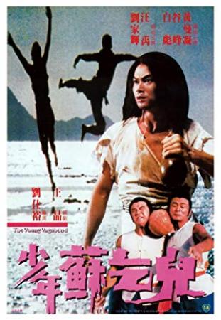 The Young Vagabond 1985 CHINESE WEBRip XviD MP3-VXT