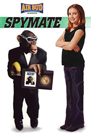 Spymate 2003 1080p AMZN WEBRip DDP5.1 x264-ETHiCS