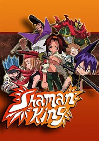 Shaman King S01E52 480p x264-mSD