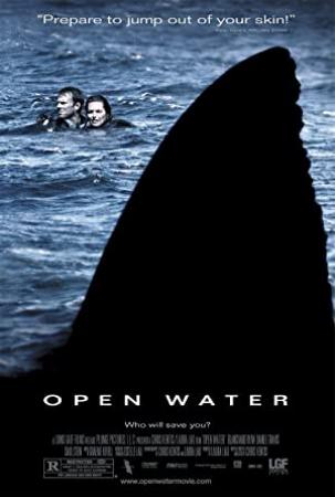 Open Water (2003) 720p BluRay x264 Eng Subs [Dual Audio] [Hindi DD 2 0 - English 2 0]