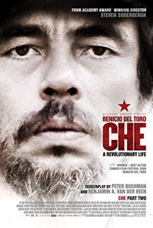 Che Part Two 2008 LiMiTED BluRay 576p H264