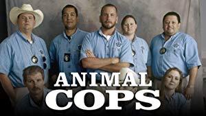 Animal Cops Houston S06E02 480p x264-mSD[eztv]
