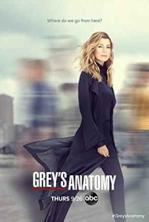 Grey's Anatomy S15E16 HDTV x264