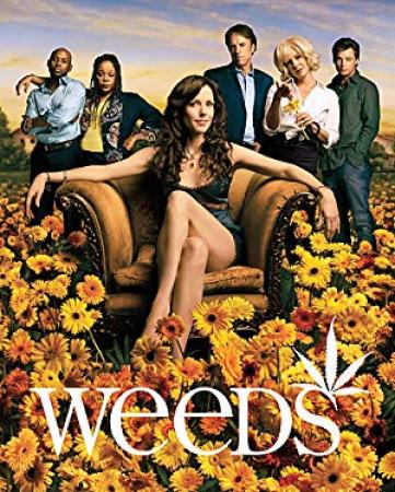 Weeds - Season 4