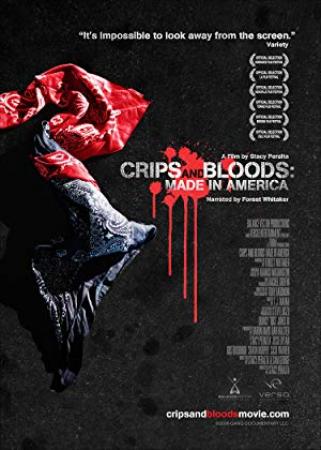 Crips And Bloods Made In America 2008 DVDrip Xvid AC3-Haggebulle