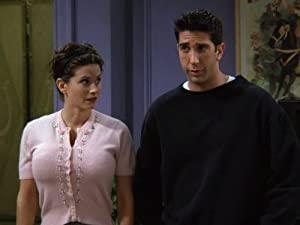 Friends S03E04 The One With The Metaphorical Tunnel 480p HDTV x264-mSD