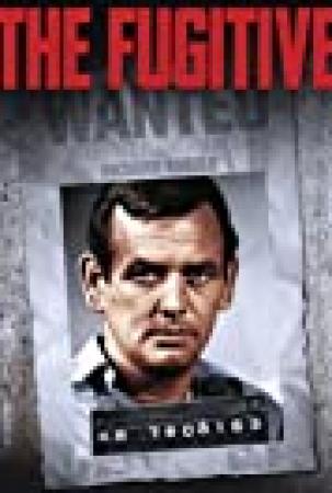 The Fugitive S01E08 WEB-DL x264-ION10