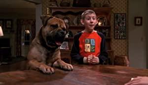 Malcolm in the Middle S03E17 XviD-AFG
