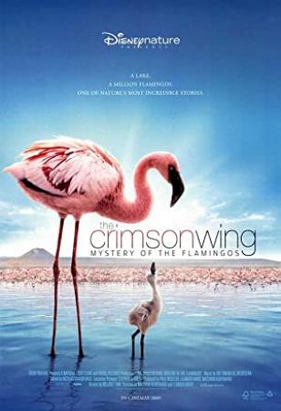 The Crimson Wing Mystery of the Flamingos 2008 1080p BluRay H264 AAC-RARBG