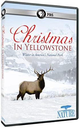 Nature S25E03 Christmas in Yellowstone 720p 10bit BluRay x265-budgetbits