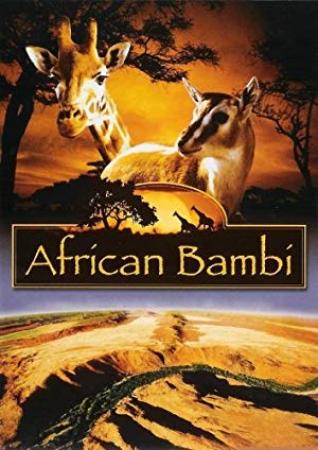 African Bambi 2007 720p BluRay H264 AAC-RARBG